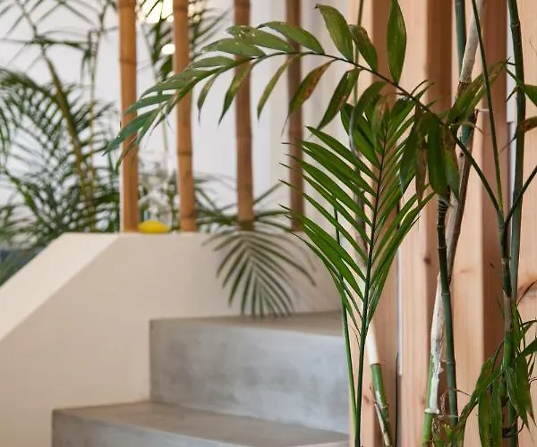 Βίλα Sal Lagoa (Azores)